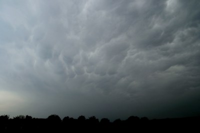 Eifelmammatus0507 020K.jpg